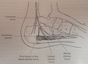 Compresión del nervio tibial posterior